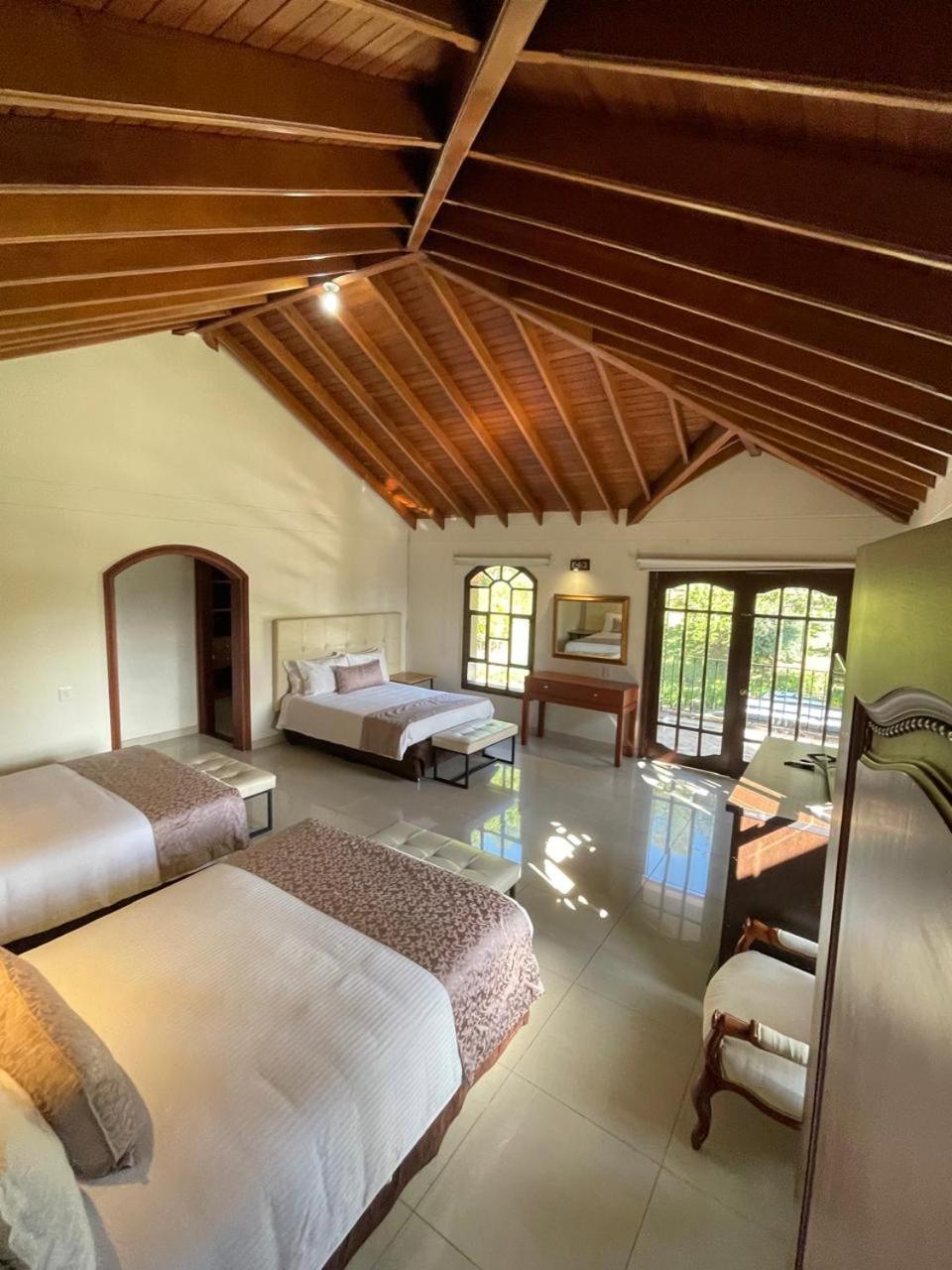 Suite Junior con vistas al jardín
