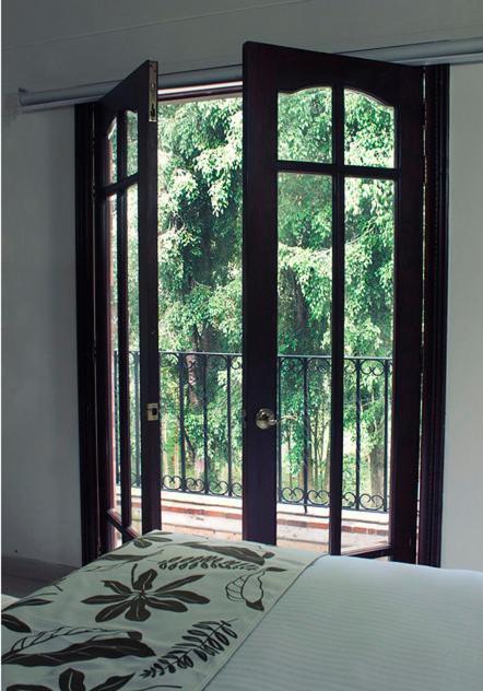 Suite Junior con vistas al parque